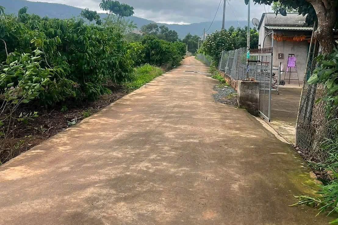 Đường bê tông vào lô đất 2 mặt tiền trung tâm Nam Ban, vườn cà phê hai bên, view đồi núi