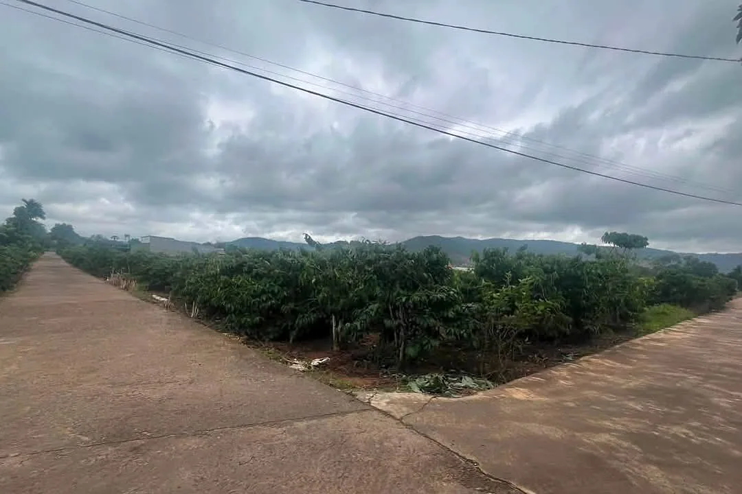Lô đất góc 2 mặt tiền đường bê tông tại Nam Ban, vườn cà phê đang thu hoạch, view đồi