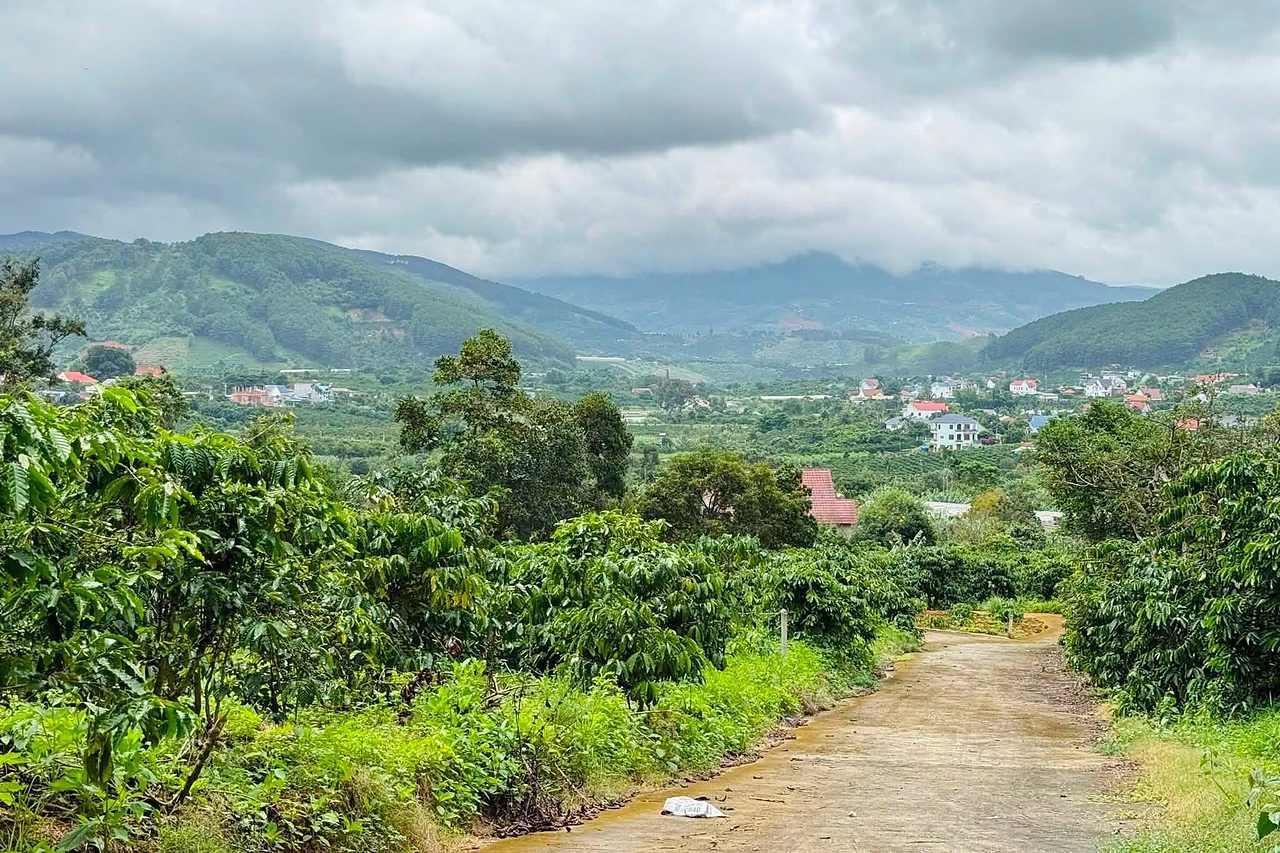 Thế đất cao thoáng nhìn ra thung lũng, vườn cà phê và núi đồi Mê Linh ven Đà Lạt