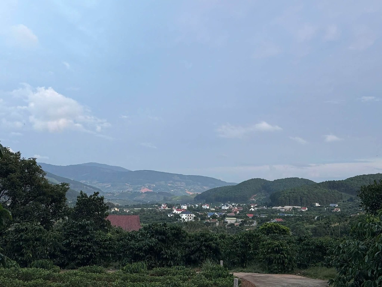 View từ lô 1.000m² giáp rừng thông Mê Linh, Nam Ban nhìn xuống thung lũng: vườn cà phê, khu nhà dân, đồi thông và núi phía xa