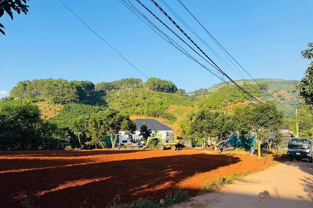 Lô đất Mê Linh nhìn từ đường – đất đã san, cao ráo, view đồi thông và núi phía sau
