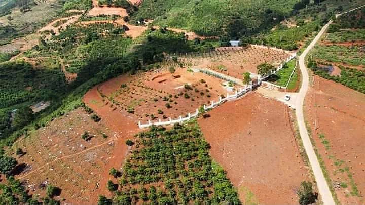 Khu đất 1,7ha nhìn từ trên cao, mặt tiền rộng giáp đường, địa hình đẹp