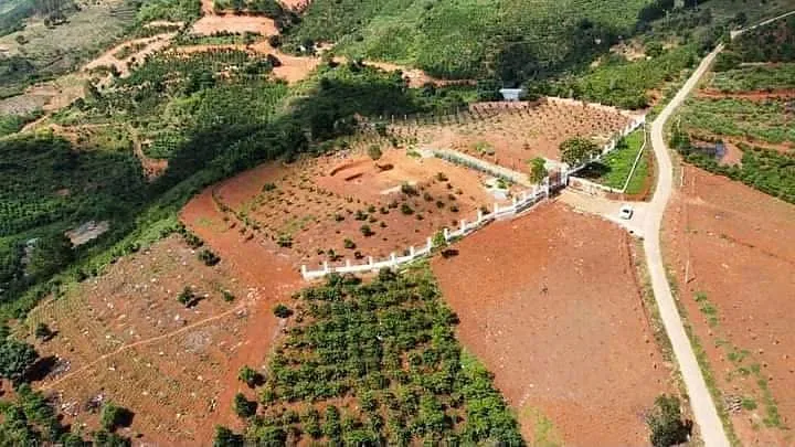 Khu đất 1,7ha nhìn từ trên cao, mặt tiền rộng giáp đường, địa hình đẹp