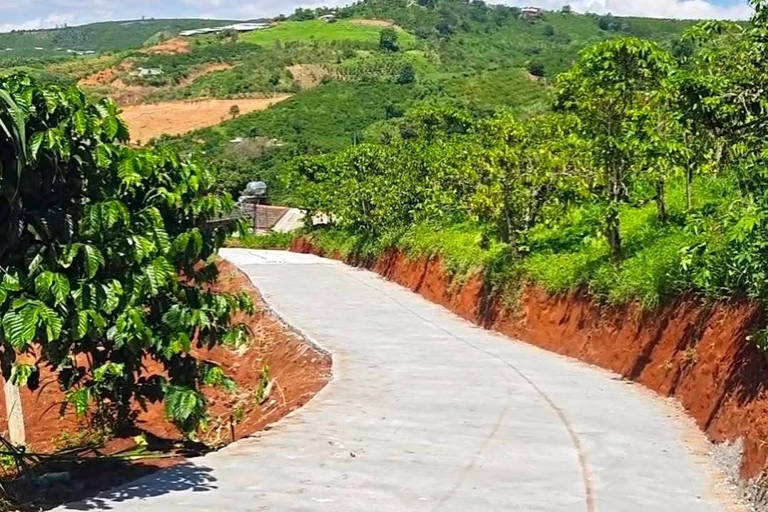 Đường bê tông ô tô vào khu đất Nam Ban, hai bên vườn cà phê, view đồi