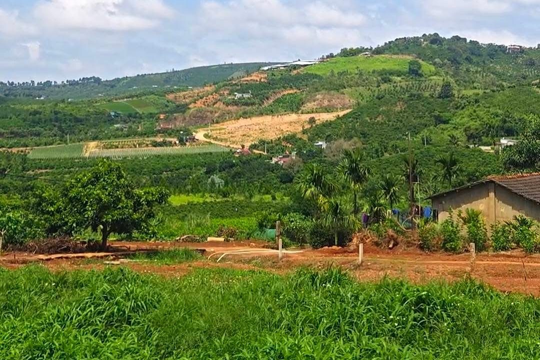 View thoáng từ khu đất 277m² Nam Ban nhìn ra thung lũng, đồi và nhà dân hiện hữu