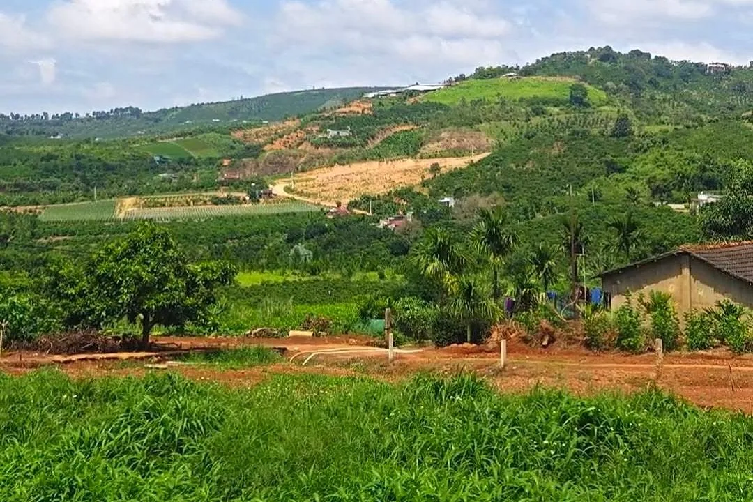 View thoáng từ khu đất 277m² Nam Ban nhìn ra thung lũng, đồi và nhà dân hiện hữu