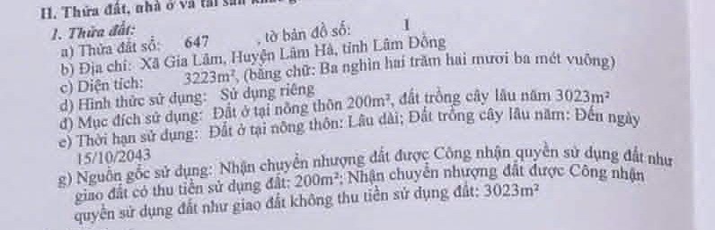 Thông tin thửa đất trên sổ: thửa 647, 3.223m², 200m² đất ở nông thôn, 3.023m² cây lâu năm, xã Nam Ban