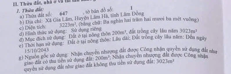 Thông tin thửa đất trên sổ: thửa 647, 3.223m², 200m² đất ở nông thôn, 3.023m² cây lâu năm, xã Nam Ban