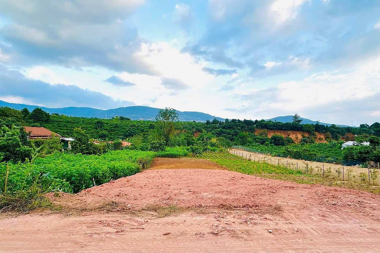 Lô đất ~495m² xã Nam Ban, mặt tiền đường bê tông, khu dân cư, view đồi cà phê và núi