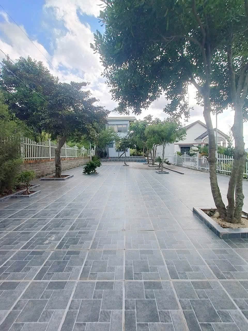 Sân lát đá rộng của nhà 511m² Gia Lâm, Nam Ban: hàng cây bóng mát trồng trong bồn, hàng rào trắng, nhà 2 tầng cuối sân