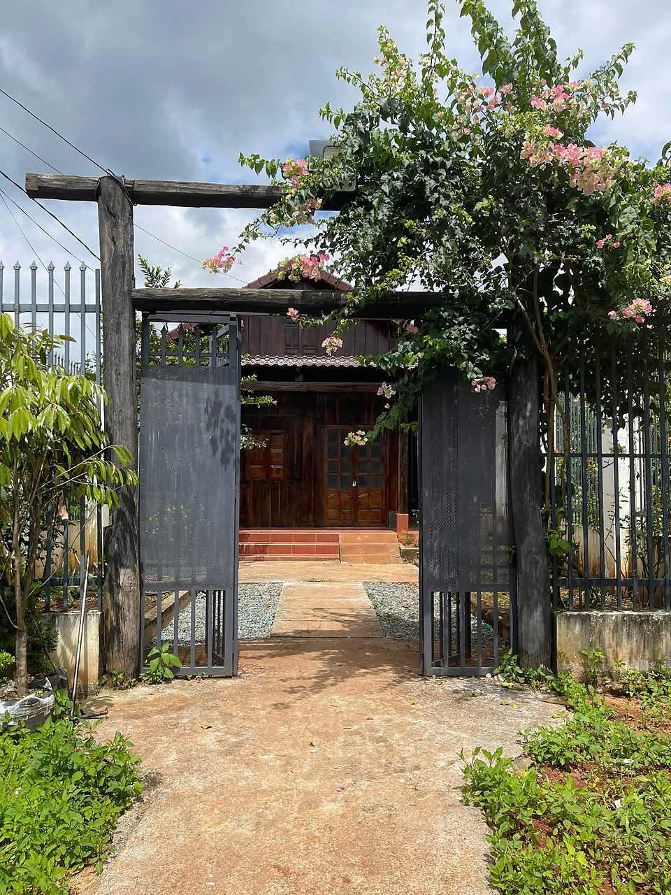 Cổng sắt cột gỗ và giàn hoa giấy dẫn vào nhà gỗ, lối đi lát đá giữa hai luống sỏi