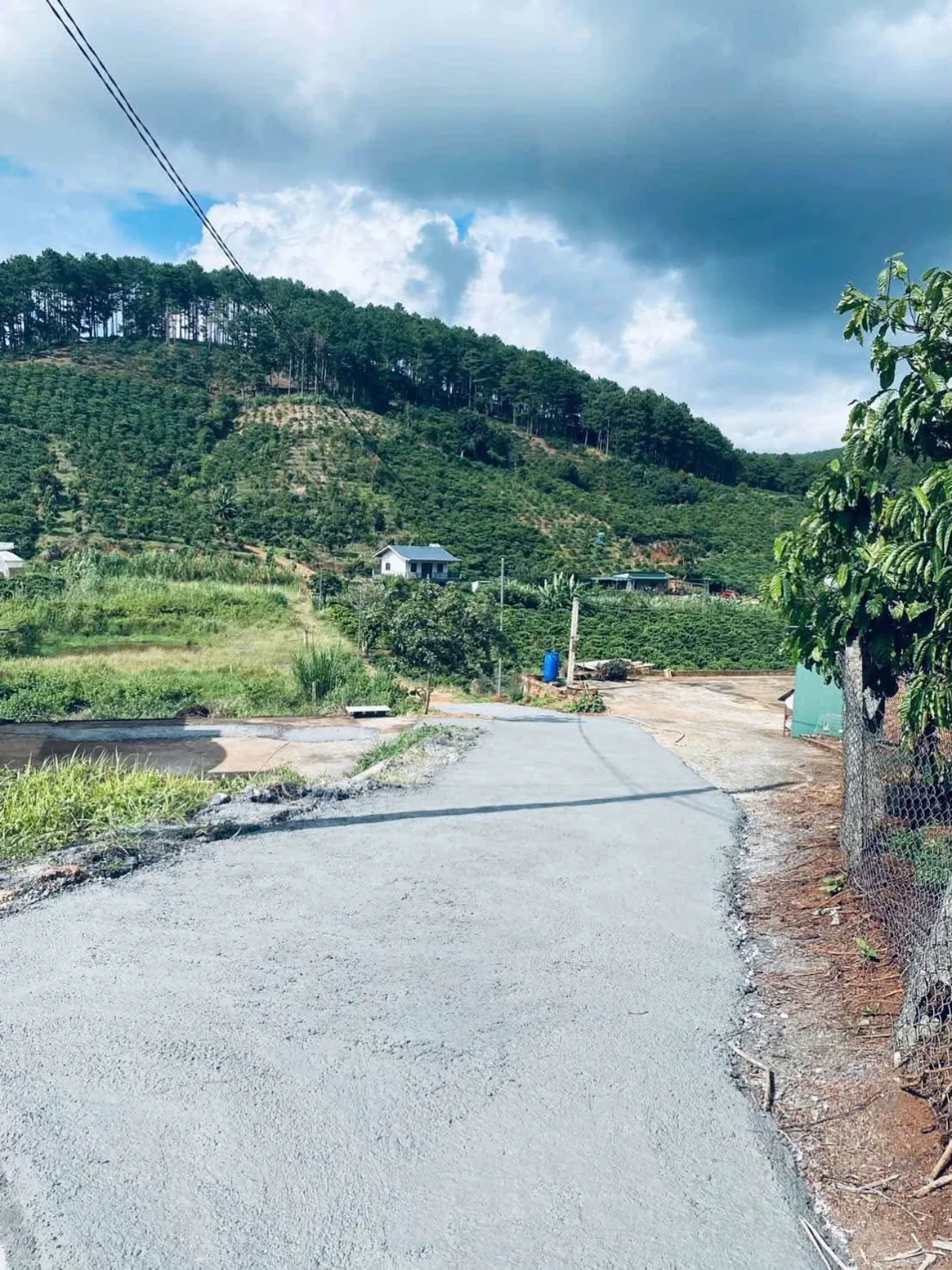 Đường bê tông trước nhà Mê Linh Nam Ban – view đồi rừng thông, vườn cà phê xung quanh