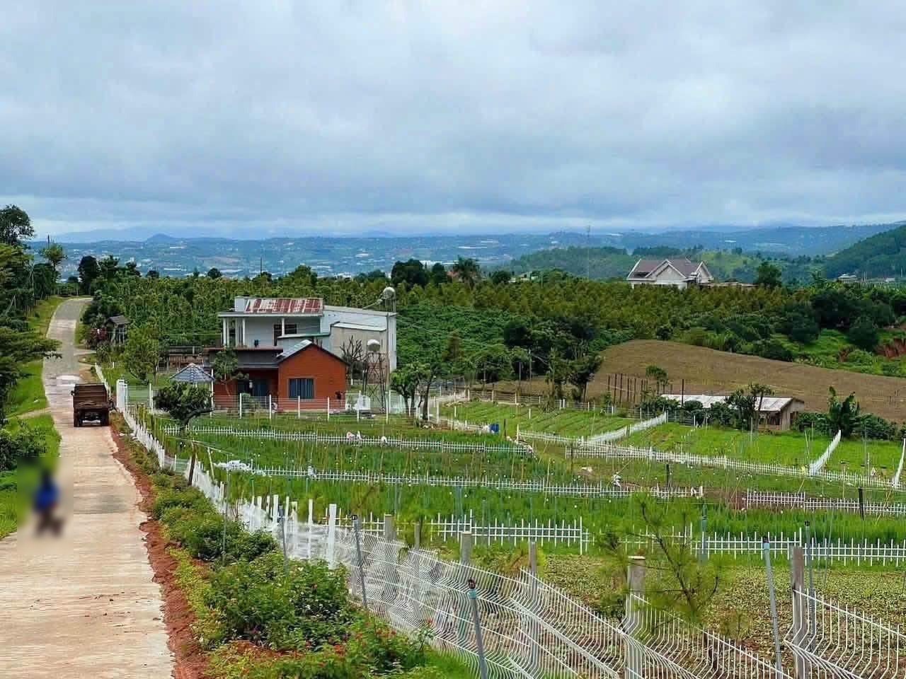 Toàn cảnh khu nhà nghỉ dưỡng ven Đà Lạt – nhà nhỏ mái đỏ, vườn rau, view săn mây và đồi thông