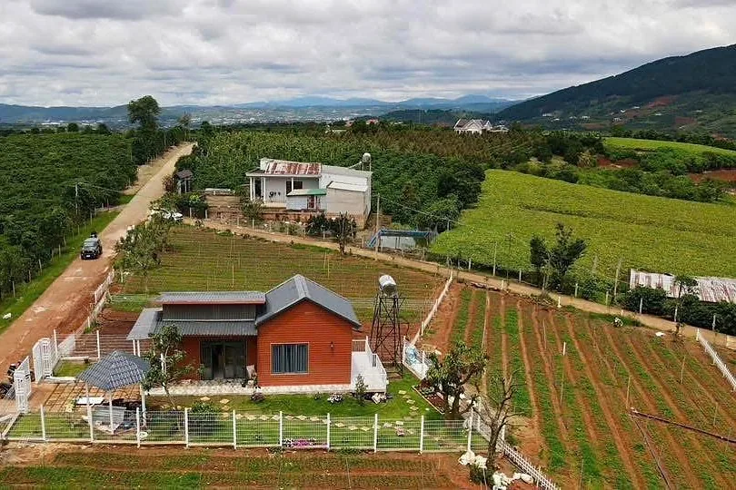 Flycam nhà nhỏ mái đỏ giữa vườn cà phê ven Đà Lạt, đường đất vào nhà, view thung lũng và núi xa