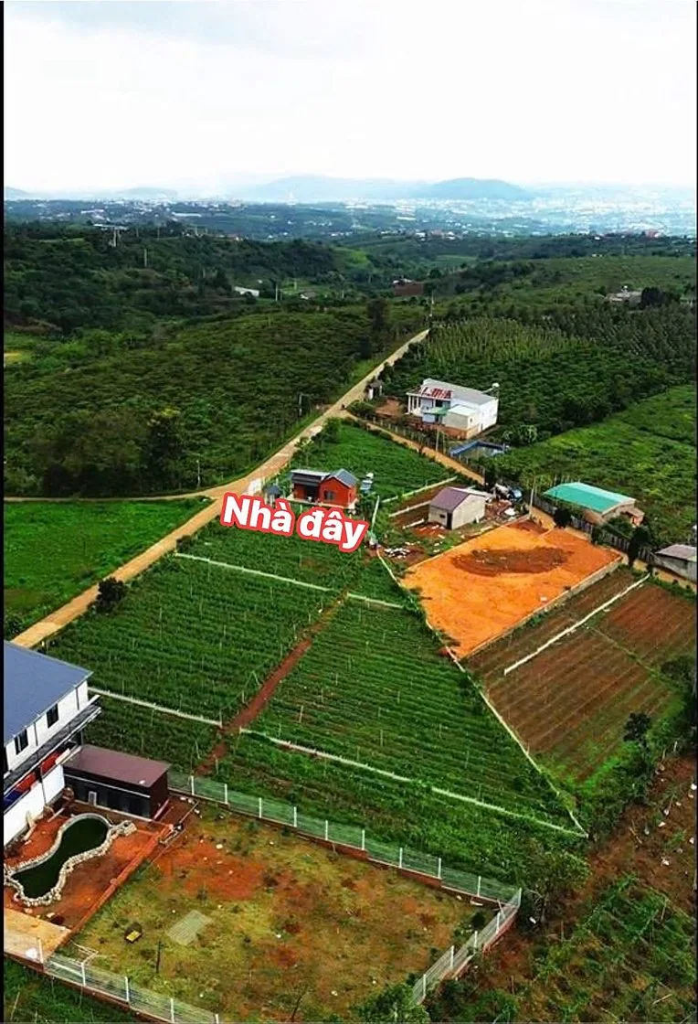 Flycam toàn cảnh vị trí nhà nhỏ giữa khu nhà vườn nghỉ dưỡng ven Đà Lạt, nhìn về thị trấn