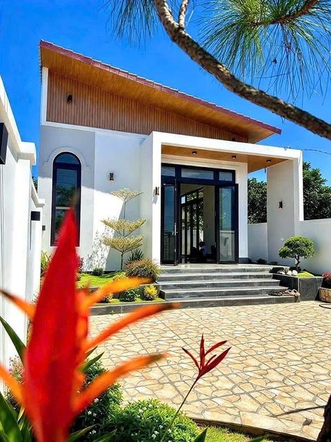 Mặt tiền nhà sân vườn Nam Ban chụp dọc: bồn cây, tiểu cảnh, cửa sổ vòm, cây thông trước nhà