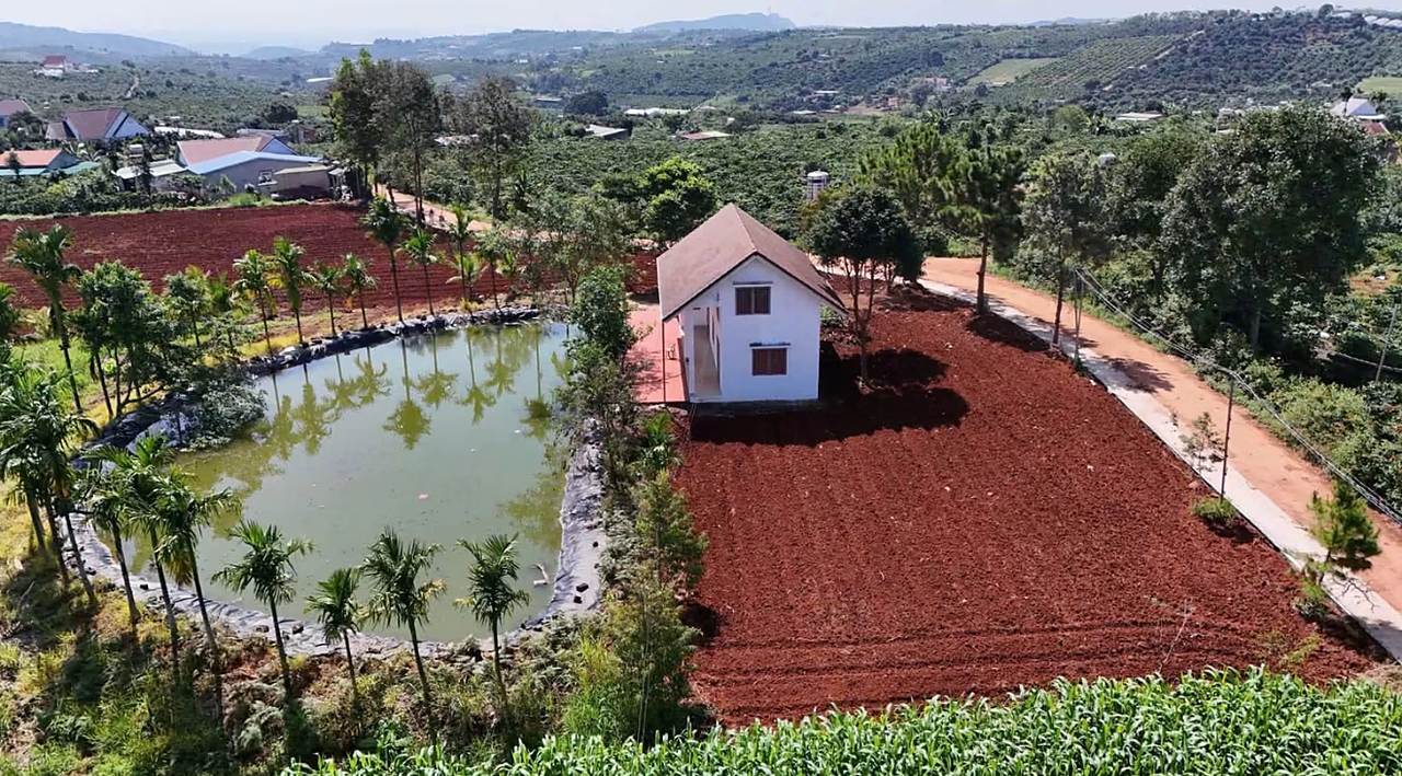 Flycam nhà vườn 2.300m² Nam Hà (giáp Nam Ban): nhà mái ngói nâu, ao bán nguyệt viền hàng cau, đất đỏ đã cày, đường bê tông bên cạnh