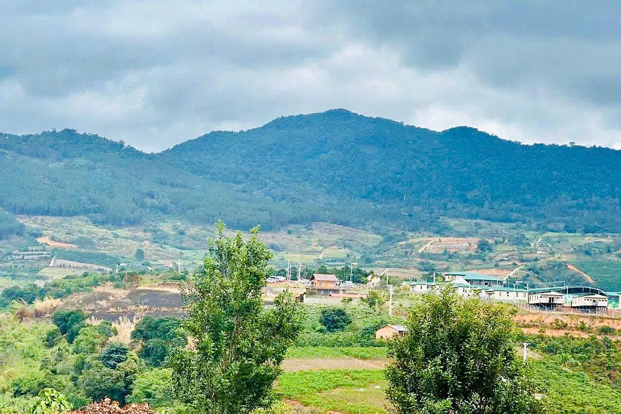 View núi và thung lũng từ quỹ đất 2 lô mặt tiền 96m Nam Ban ven Đà Lạt
