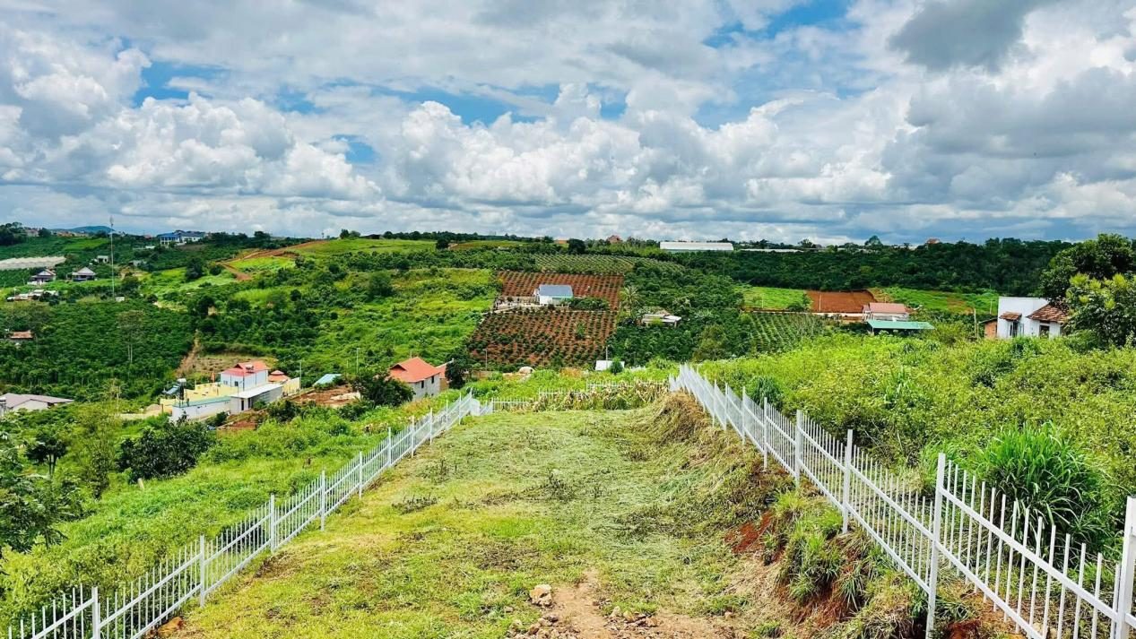 Đất 530m² view thung lũng Nam Ban - ảnh 2