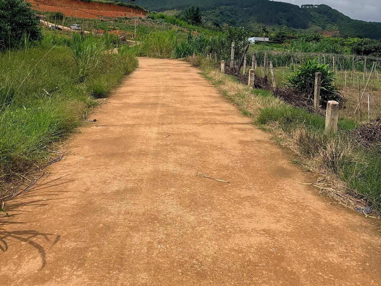 Lô đất 3.583m² Trung Hà Nam Ban, đường bê tông vào khu, vườn và đồi phía xa
