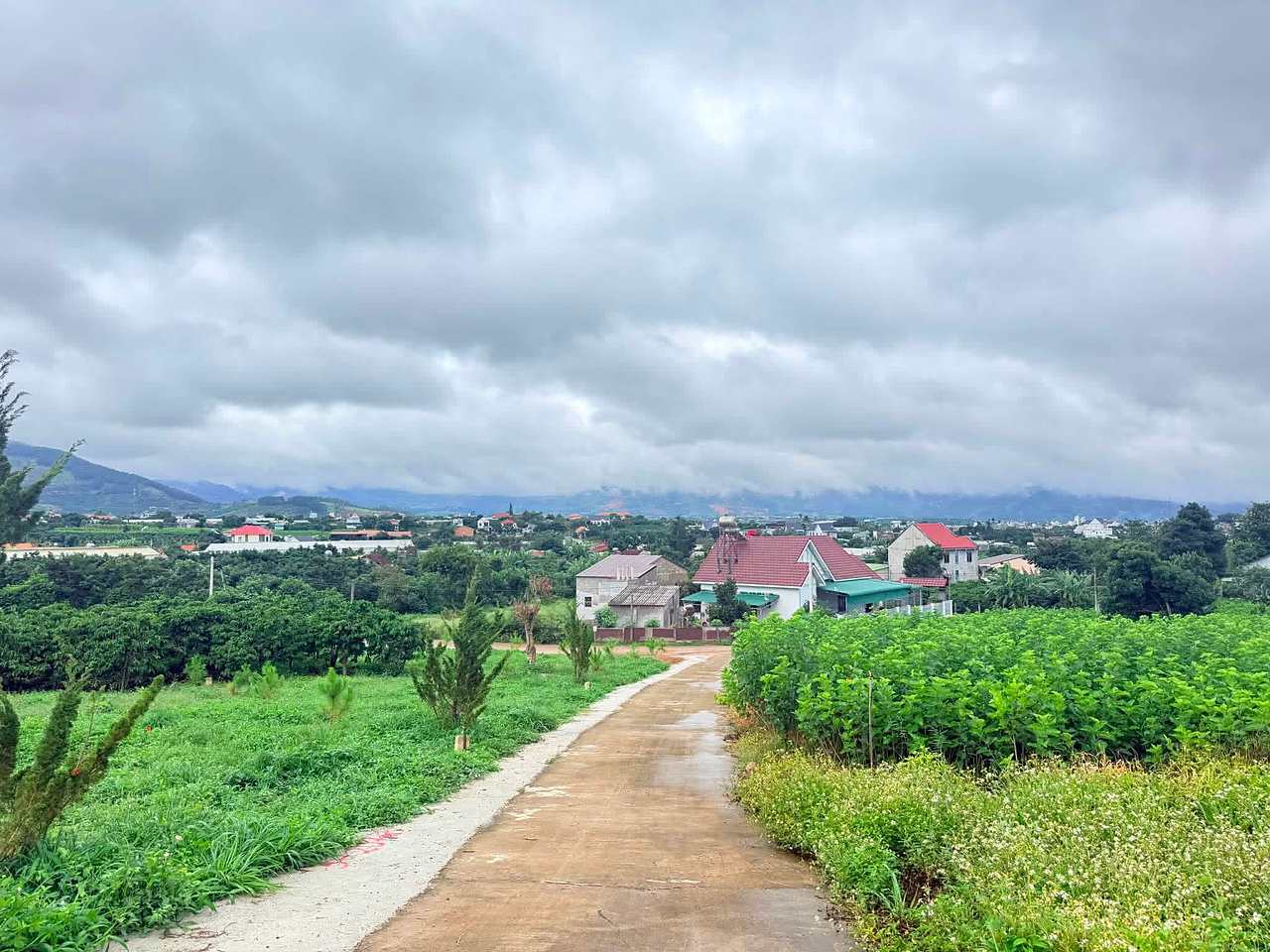 Lô đất 255m² Từ Liêm Nam Ban, đường bê tông vào tận đất, view đồi núi phía xa
