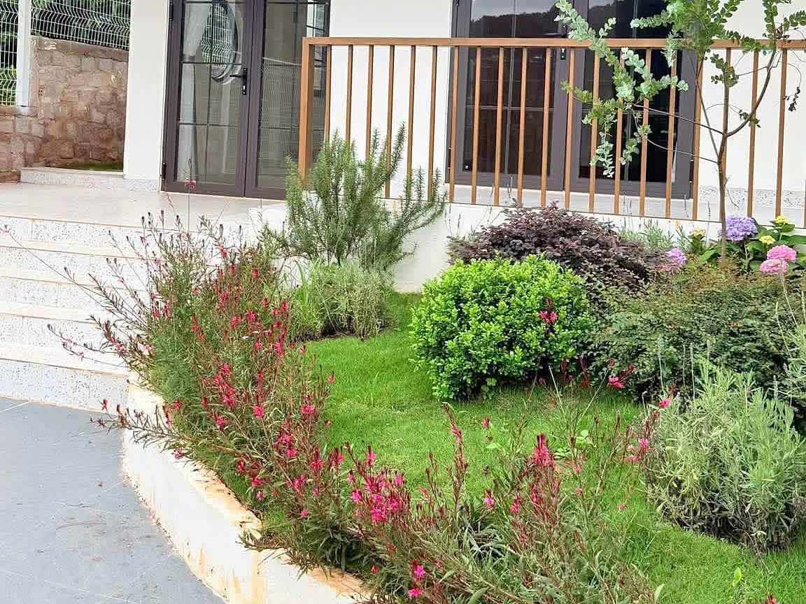 Mặt tiền villa — hiên gỗ, cửa vòm, sân vườn tiểu cảnh trước nhà