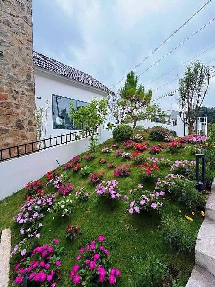 Vườn hoa rực rỡ trước villa Nam Ban, cây thông và hàng rào sắt