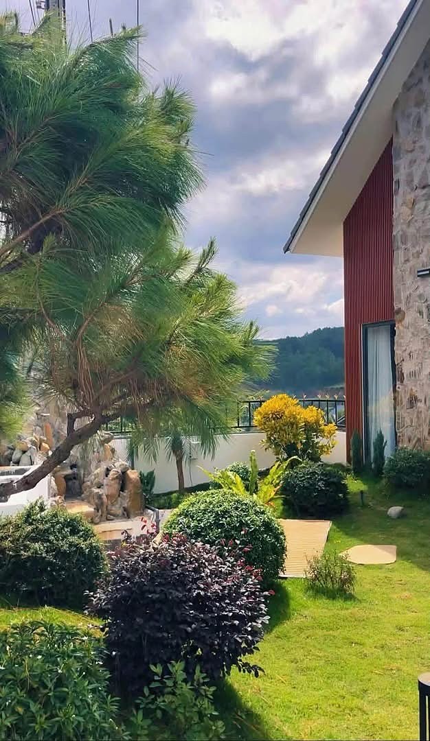 Sân vườn bên hông villa – cây thông, hòn non bộ, tiểu cảnh nước và cây xanh